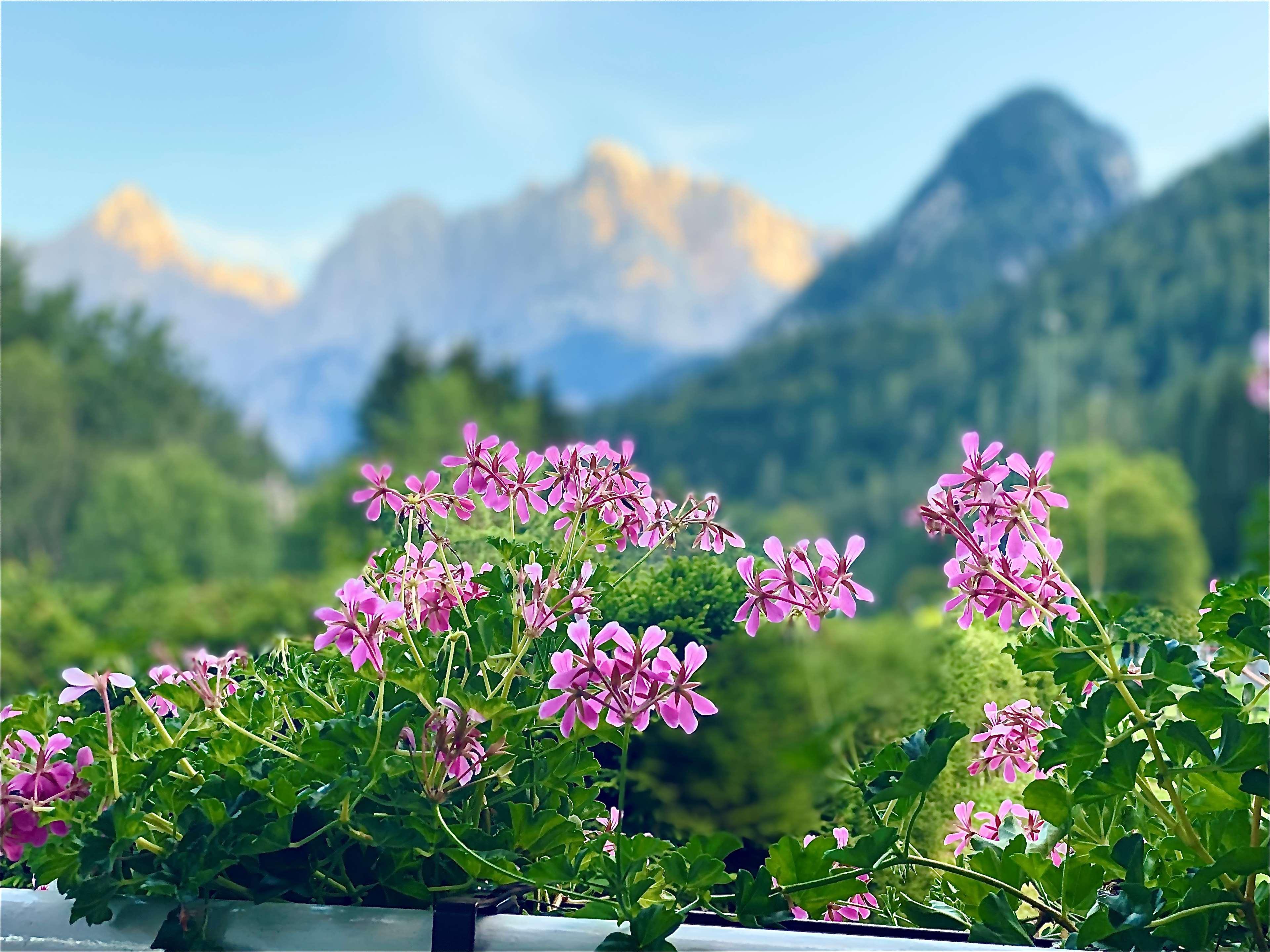 Hotel Kranjska Gora Buitenkant foto